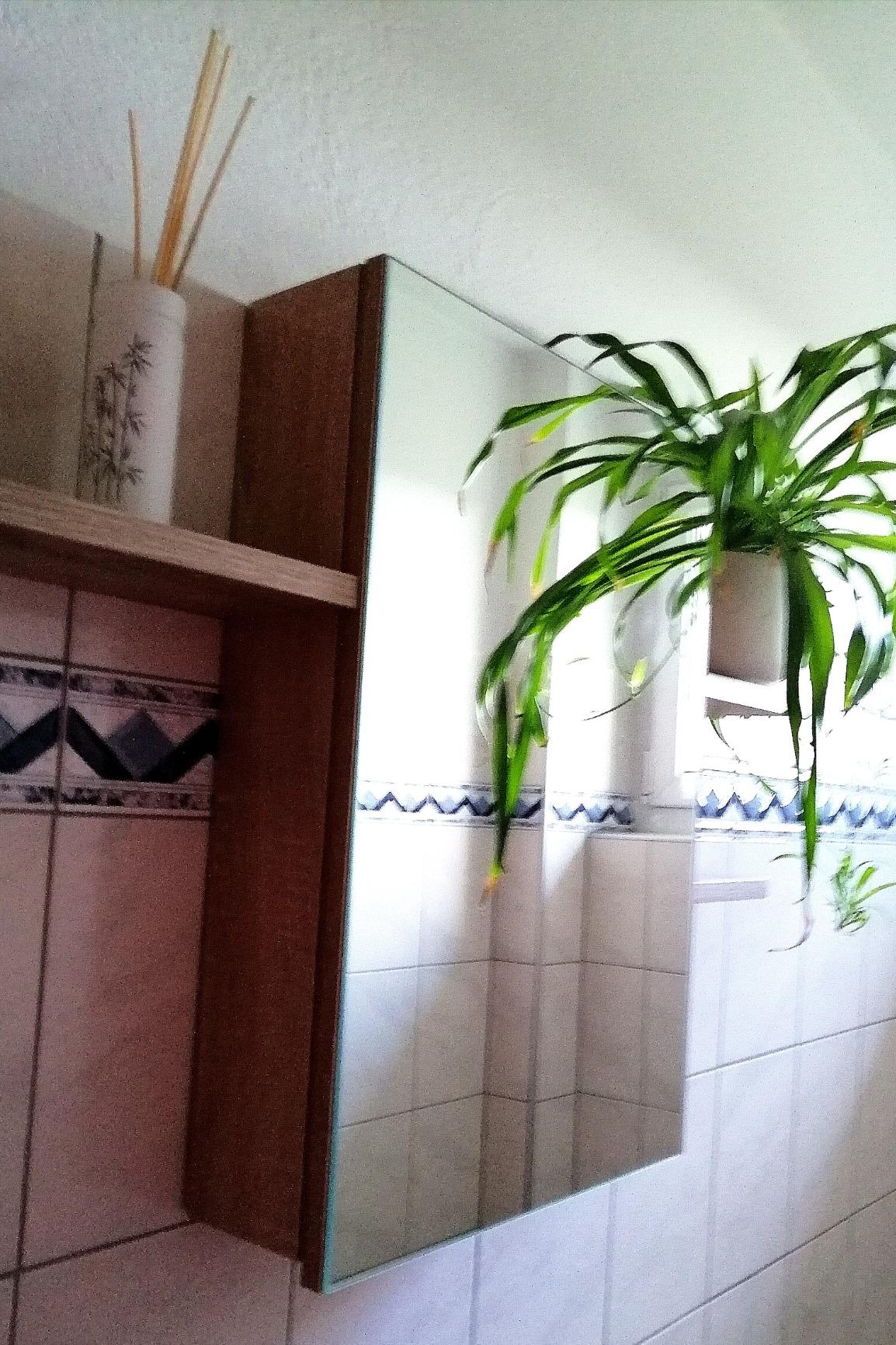 Ordnung im Minibad