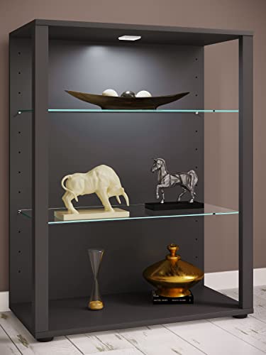 vcm-standvitrine-anthrazit-ca-70-x-35-x-90-cm-mit-3-f-chern-pr-sentationsvitrine image 6