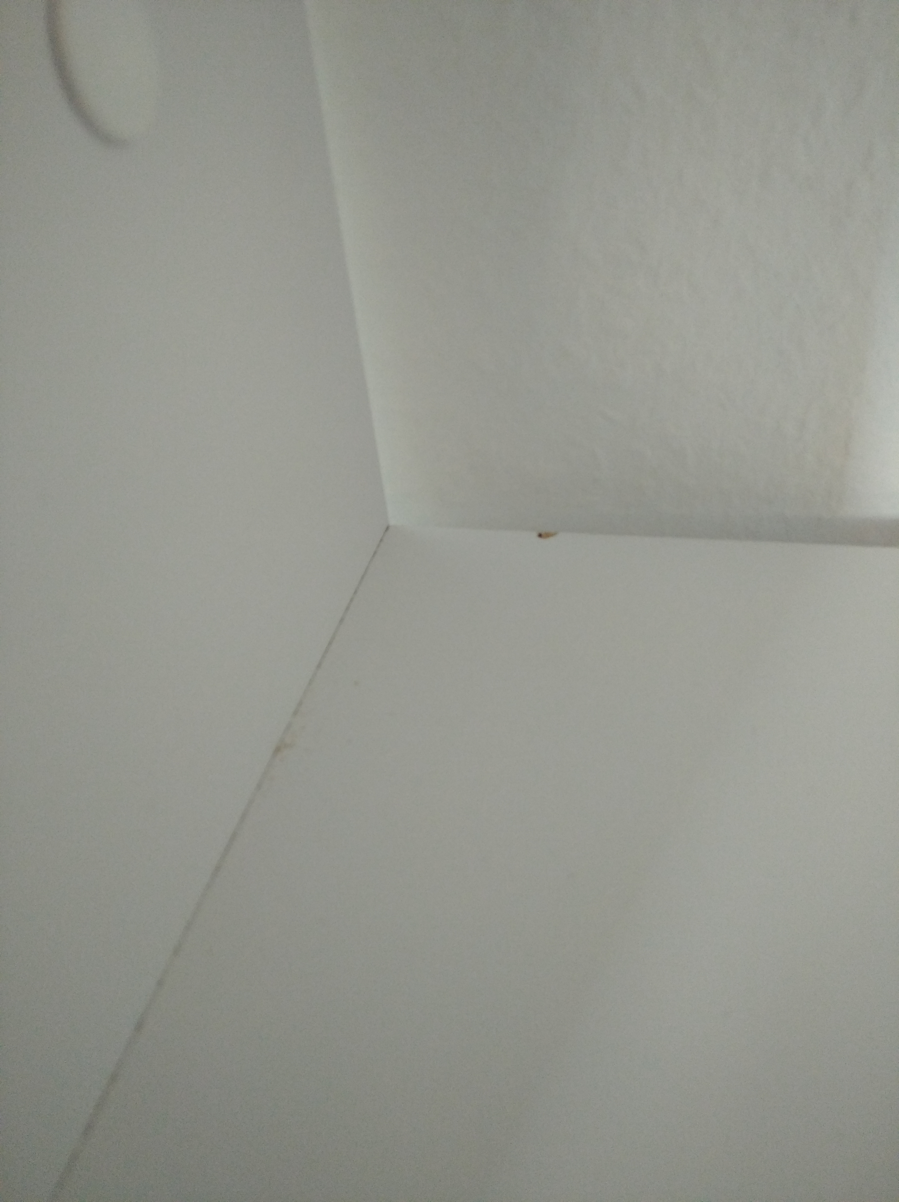 Schnell aufgebaut